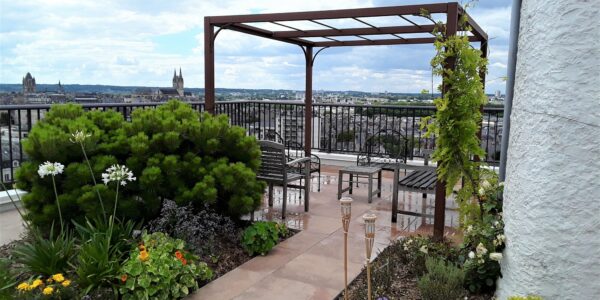 pergola en acier